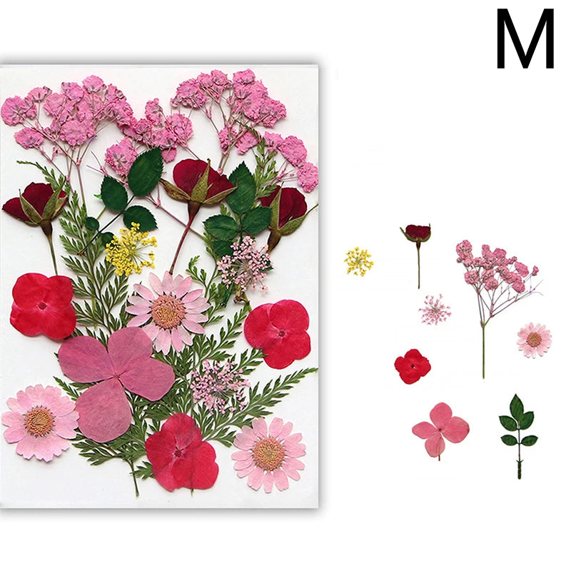A collection of pressed natural dried flowers in shades of pink, red, and green for resin art and jewelry making.