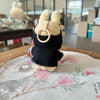 17cm Doll Sweater & Backpack Outfit Set for Labubu Accessories