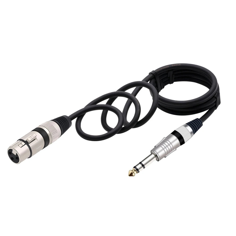 Black professional XLR to 6.35mm audio cable with a connector end.