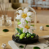 A glass dome display of a white eternal rose flower kit featuring green foliage and yellow centers.