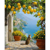 A cat sits on a stone path under an archway covered in green vines and yellow lemons overlooking a coastal landscape.