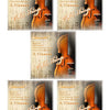 Professional Nickel-Silver Wound Violin String Set