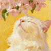 A fluffy white cat is resting with its eyes closed beneath a cluster of pink blossoms against a yellow background.