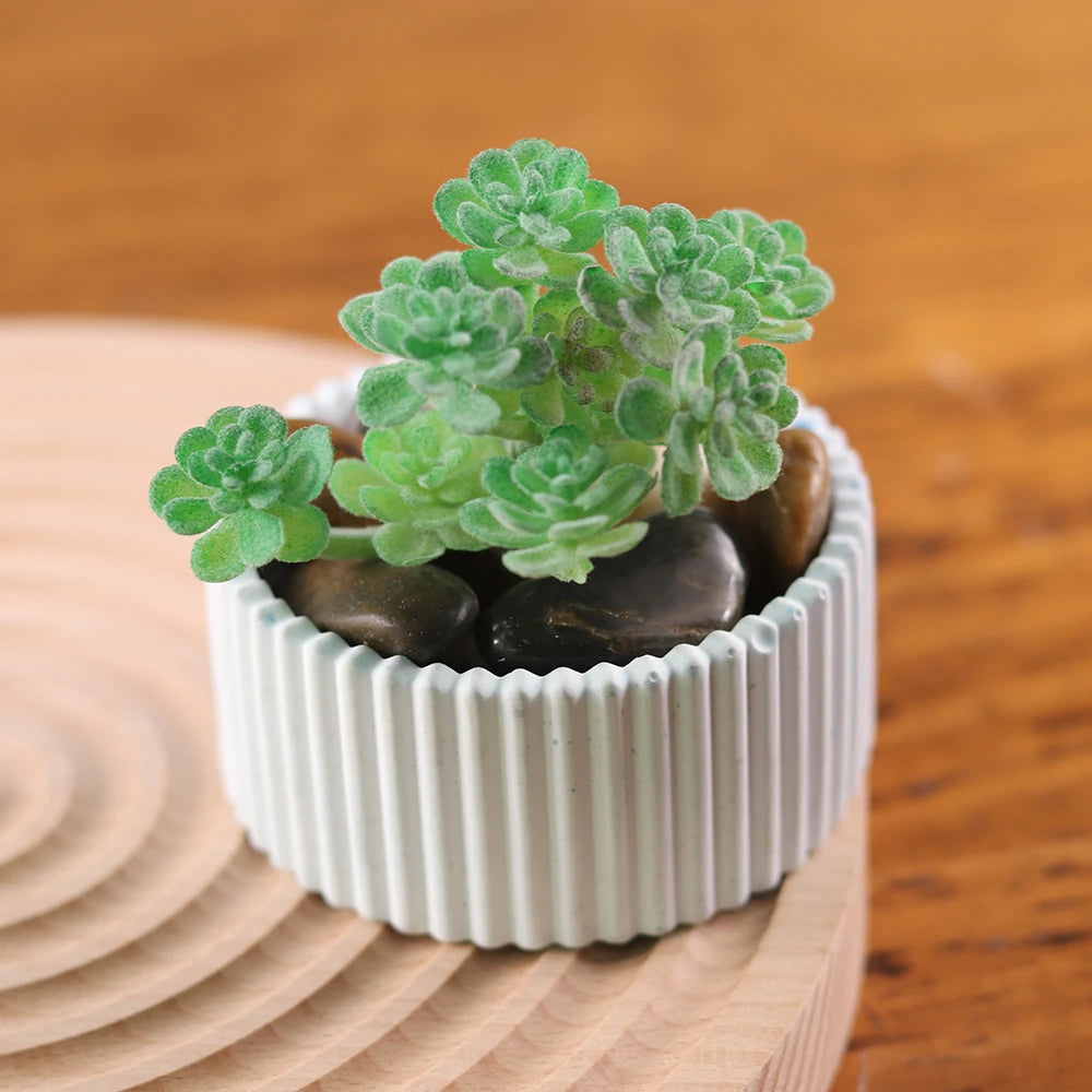 A small green succulent plant is potted in a white ribbed silicone mold on a wooden surface.