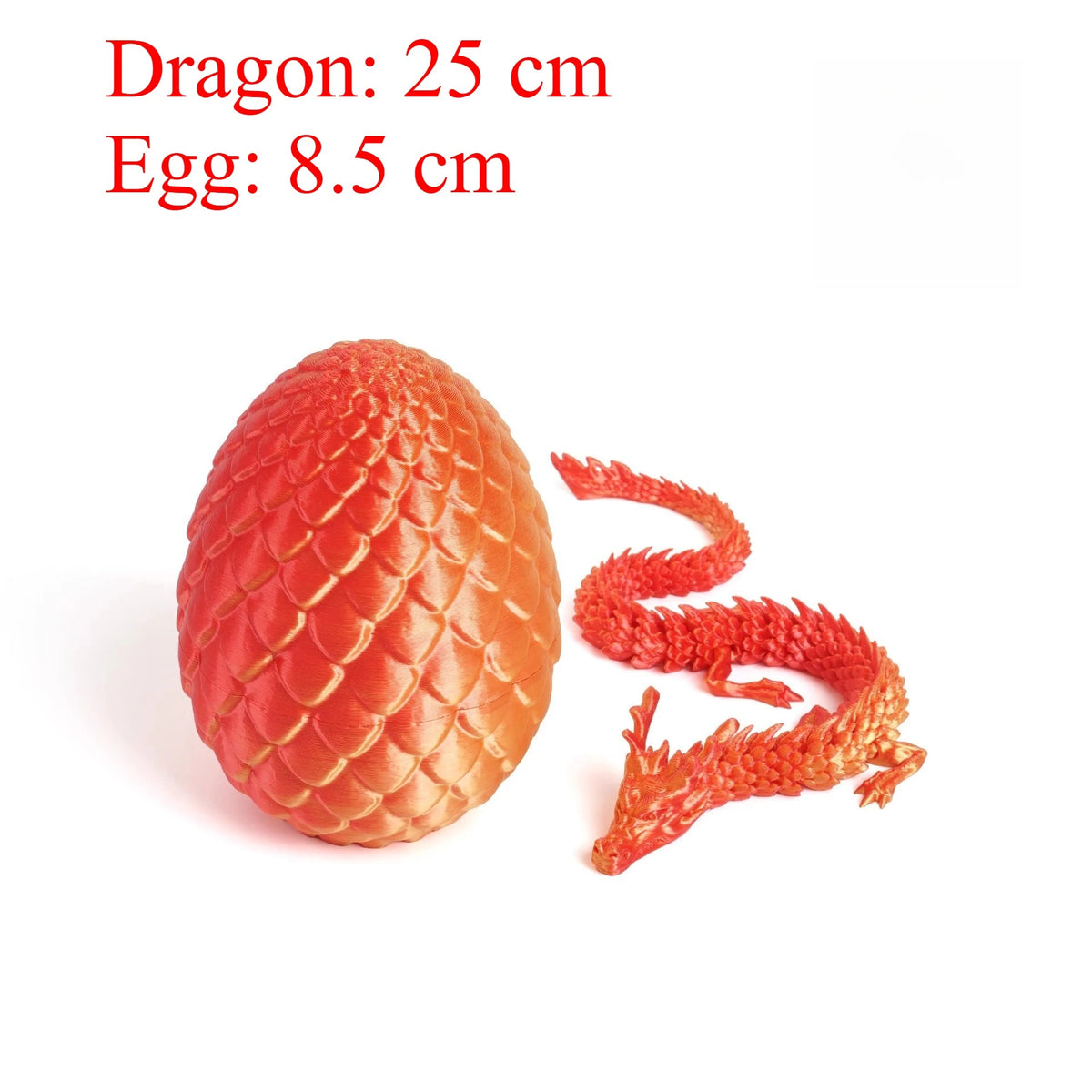 Un modèle de dragon rouge et un modèle d'œuf sont exposés ensemble.