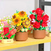 A bouquet of red roses and yellow sunflowers arranged in terracotta pots.