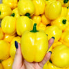 A hand holds a bright yellow bell pepper, which is a crunchy squishy fidget toy.