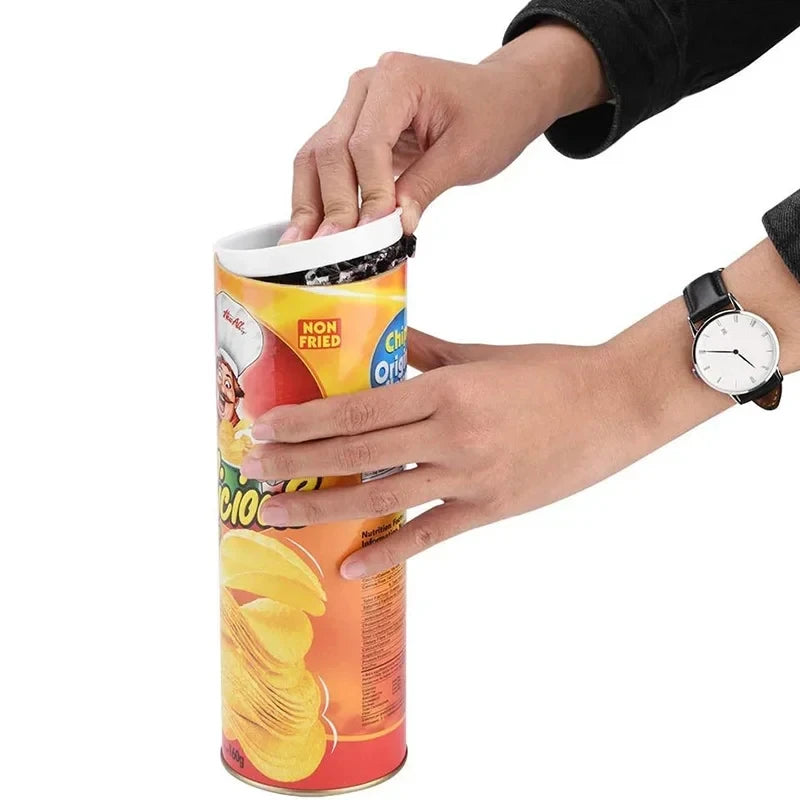 Surprise Prank Snake in a Potato Chip Can