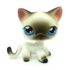 A small, light beige and white standing dog figure with large blue eyes.