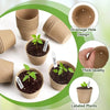 A collection of biodegradable peat pots for seed starting, showing various sizes and designs with drainage holes and labeled 