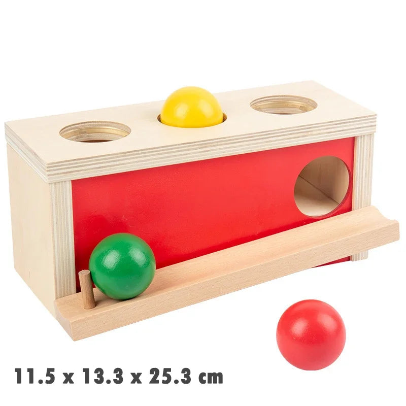 Wooden Montessori Object Permanence Toy for Toddlers