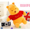 Winnie the Pooh Plush Bear Soft Toy