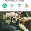 A hand holds a biodegradable peat pot filled with soil in the context of seed starting.