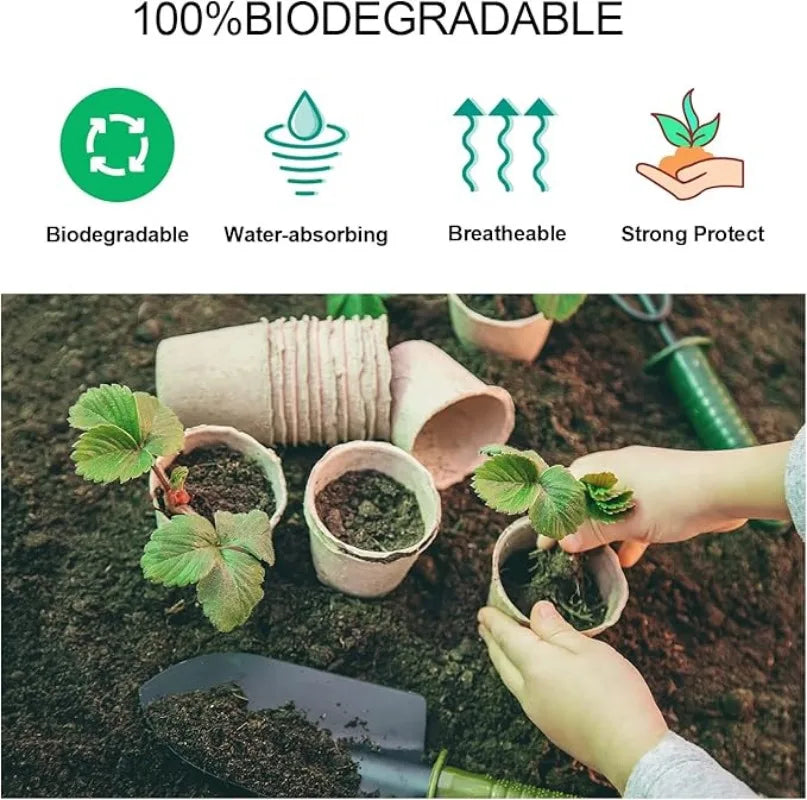 A hand holds a biodegradable peat pot filled with soil in the context of seed starting.