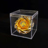 Beyblade X CX-00 Valkyrie Volt S4-70V Spinning Top Toy