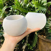 A hand holds a white silicone round pot mold, surrounded by green foliage.