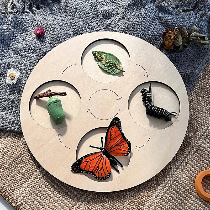 A wooden circular display featuring cutouts of various natural elements like a leaf, a seed pod, and an orange butterfly.