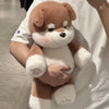 Extra Soft Cute Pig Plush Pillow - 17.7 Inch Comfort Stuffed Animal