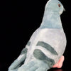 Kawaii Plush Pigeon Stuffed Animal – Soft Cuddly Dove Toy for Decor and Gifting