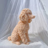 A light peach colored poodle dog silicone candle mold for DIY crafting displayed on a white surface.