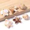 A variety pack of acrylic beads shaped like starfish, conch, and turtle in natural and translucent colors.