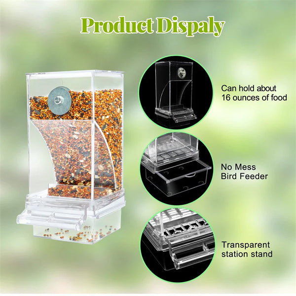 A clear plastic automatic seed dispensing bird feeder showing various seeds and a transparent stand.