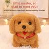 A fluffy golden-brown plush dog toy with a red collar sitting on white fur.