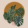 A potted Monstera plant with large green leaves set against a warm, earthy orange background.