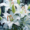 Close-up painting of white lily flowers and buds with green stems against a dark background.