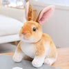 A cute, fluffy orange rabbit plush toy with pink inner ears sitting on a wooden surface.