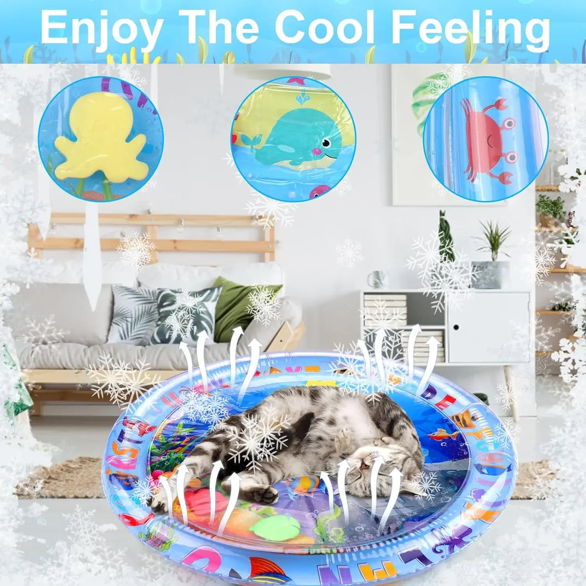 A kitten is playing inside a blue inflatable sensory mat with colorful patterns.
