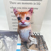 A small, orange and white cat plush doll is displayed in front of a box with text about missing someone.