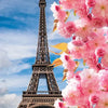 A close-up of the Eiffel Tower framed by vibrant pink cherry blossoms against a blue sky.