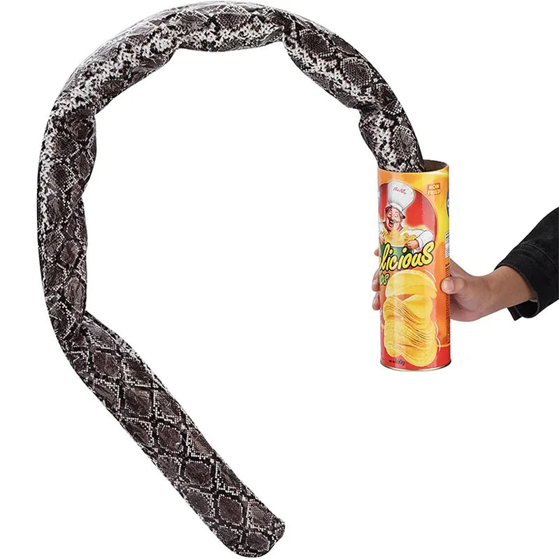 Surprise Prank Snake in a Potato Chip Can