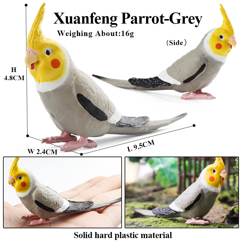 Realistic Bird Figurine Set – Educational PVC Models for Kids and Collectors