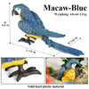 Realistic Bird Figurine Set – Educational PVC Models for Kids and Collectors