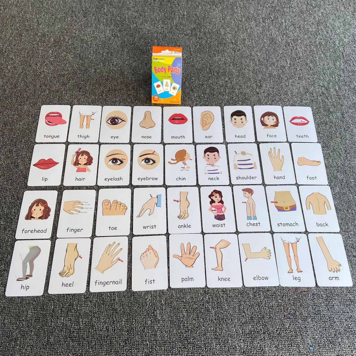 A set of early learning flash cards featuring various body parts and facial features for children.
