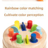 Wooden Montessori Color Sorting Toy for Toddlers