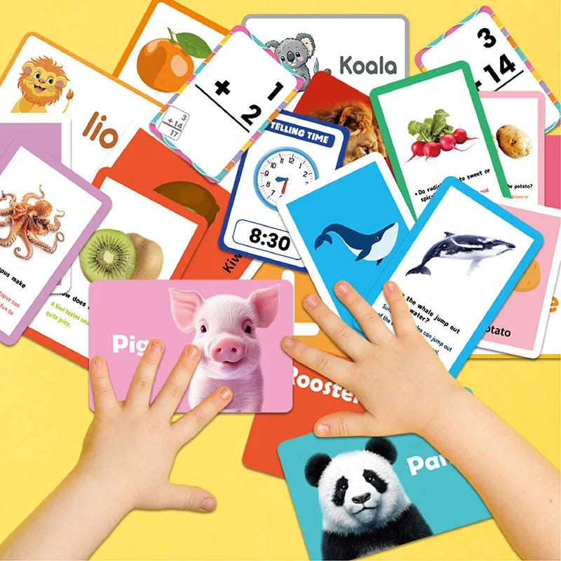 A collection of colorful early learning flash cards featuring animals like a lion, koala, pig, and panda.