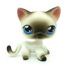 A small, white and tan Littlest Pet Shop style dog figure with large blue eyes.