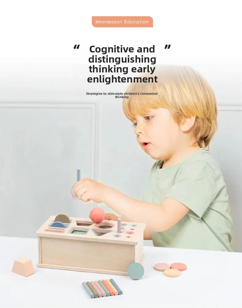 Wooden Color Shape Sorter with Drawer Box – Montessori Learning Toy