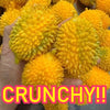 Crunchy Durian & Dragon Fruit Stress Ball – Squeeze Toy Set