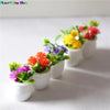 A collection of miniature potted flowers in white cups with vibrant colors like orange, yellow, and pink.