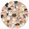Collection d'autocollants de chats mignons, de diverses races, expressions et couleurs pour bricolage et décoration.