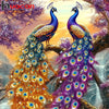Two vibrant peacocks with iridescent feathers are shown in a nature setting.