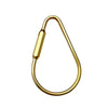 A brass keychain with a locking carabiner clip, shown against a white background.