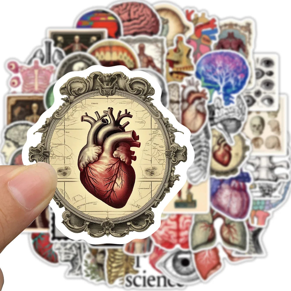A sticker pack featuring various retro scientific anatomy illustrations, including a detailed heart drawing.