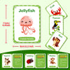 Animal Cognition Flash Cards for Early Learning