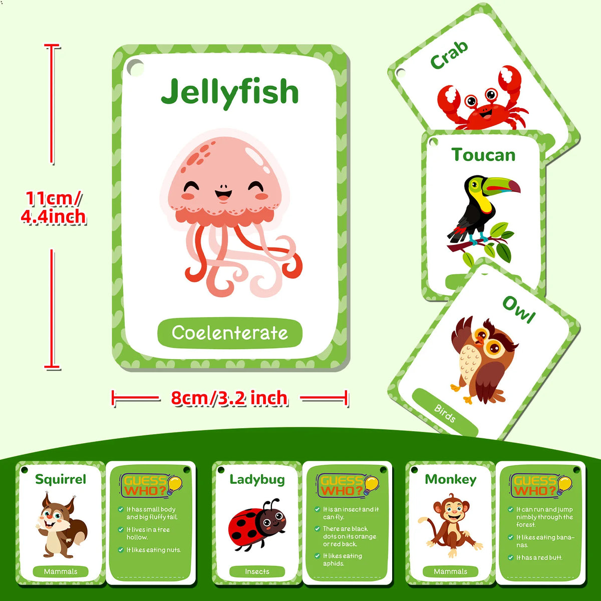 Animal Cognition Flash Cards for Early Learning
