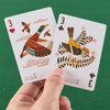 Bird-Themed Playing Cards with Unique Illustrations